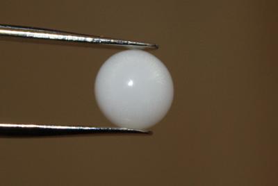 3.8 cts Clam Pearl