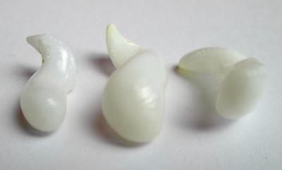 3 Curly Drop Shaped Clam Pearls 9+ carats Total 17+mm