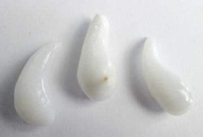 3 Curved Drop Clam Pearls 19+ carats Total 18+mm 