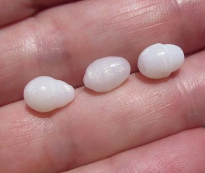 3 Flame Filled Clam Pearls 8 carats Total 9mm 