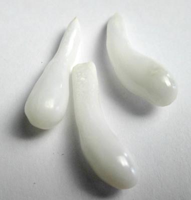 3 Long Clam Pearl Drops 18+ carats Total 24+ mm