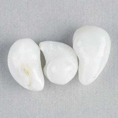 3 Matching Curved Clam Pearls - 20 Carats Total