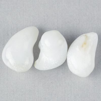 3 Matching Curved Clam Pearls - 20 Carats Total