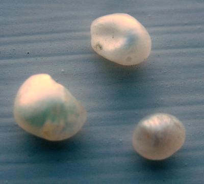 3 Natural USA Freshwater Pearls