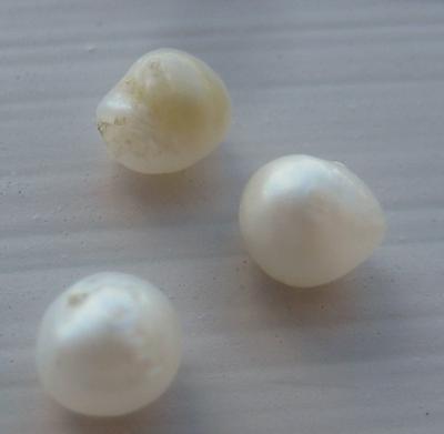 3 Natural USA Freshwater Pearls