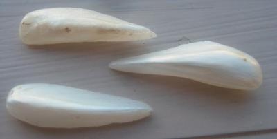 3 Natural USA Spike (Wing) Pearls