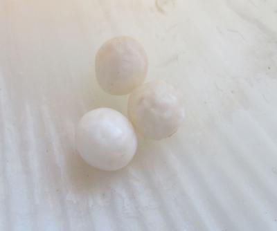 3 Nice Scallop Pearls 2+ carats