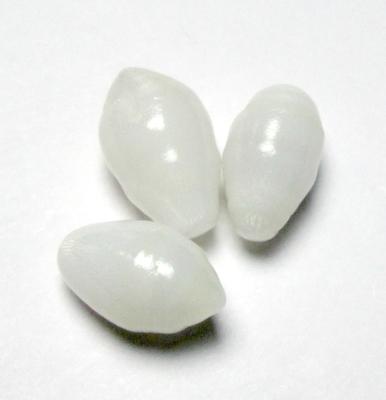 3 Oval Clam Pearls 12+mm 15carats total for Sale