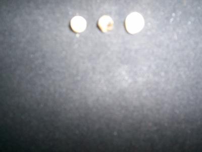 3 pearls in one oyster