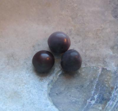 3 Purple Colored Blue Mussel Pearls 1.10 carat total