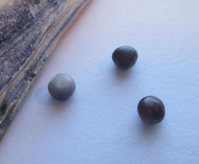 3 Purple Colored Blue Mussel Pearls 1.10 carat total