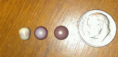 3 Quahog pearls