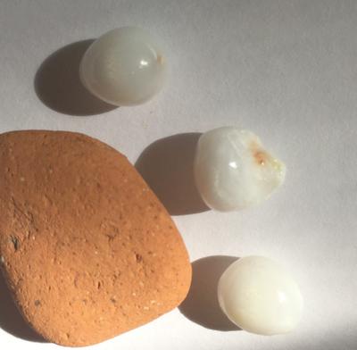 3 Roundish Clam Pearls with Flame - 12.50 carats Total