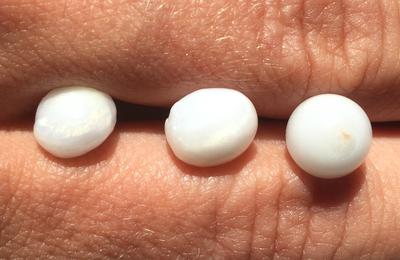 3 Roundish Clam Pearls with Flame - 12.50 carats Total