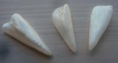 3 Spike Natural USA Pearls