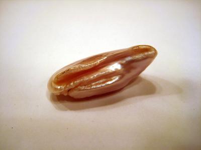 30.05 X 16.00 X 10.30mm