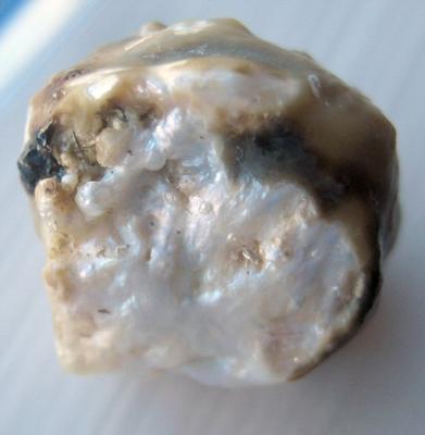 31 carat Natural Freshwater Pearl