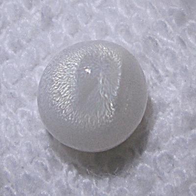 3.1ct clam pearl