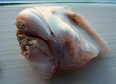 33.6 carat Natural Freshwater Pearl