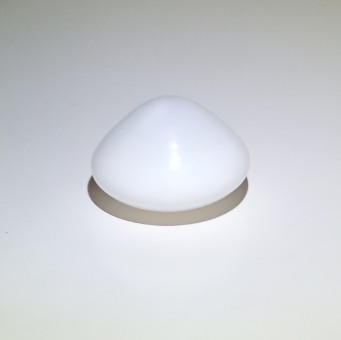 36 ct Clam Pearl for Sale