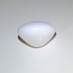36 ct Clam Pearl for Sale