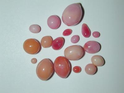  39 carats of Conch Pearls 