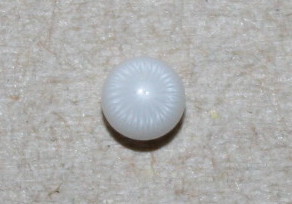 0.6 ct  Clam Pearl