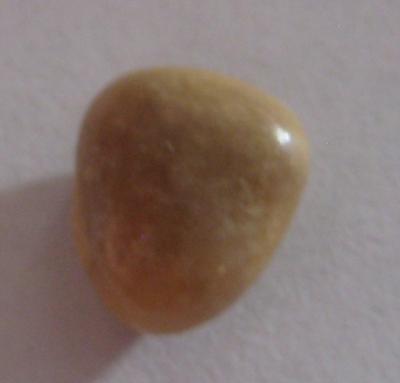 4.6 carat brown triangle conch pearl