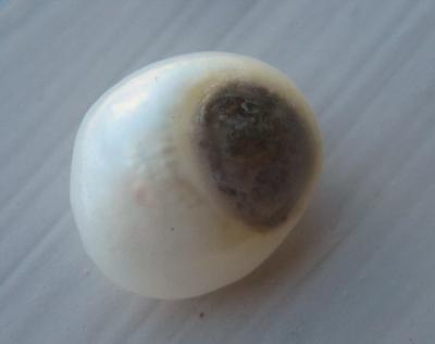 4.7 carat Natural USA Pearl