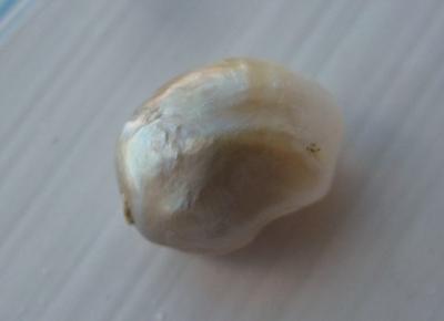 Baroque Natural Freshwater Pearl