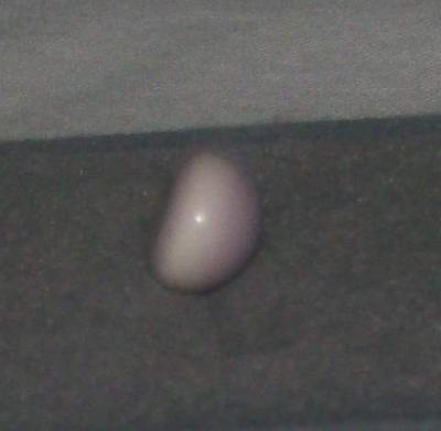 4.34 carat Quahog pearl - side