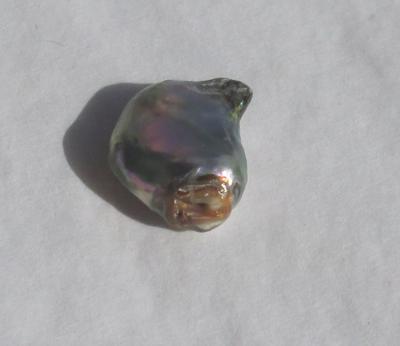 4 carats Abalone Pearl Flat Drop Shape 12mm