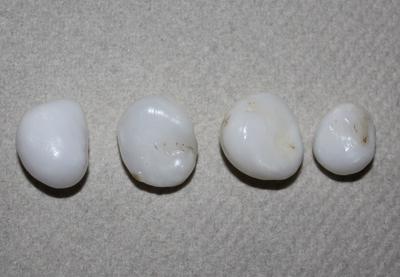 4 Clam Pearls - 46 carats total