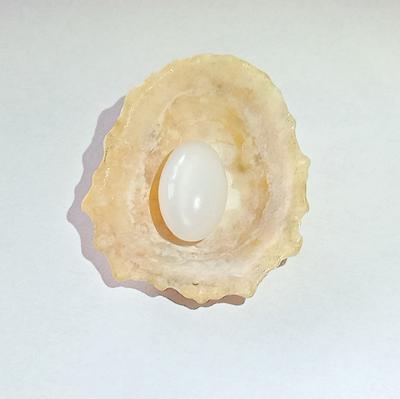 4+ ct Clam Pearl Drop for Sale