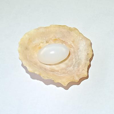 4+ ct Clam Pearl Drop for Sale
