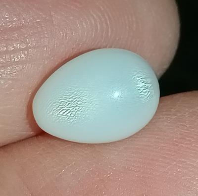  Pearl