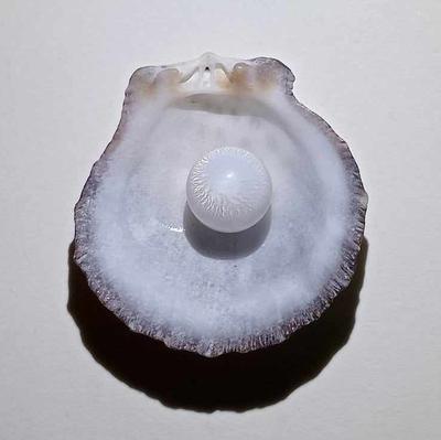 4+ ct Round Clam Pearl with Flame for Sale
