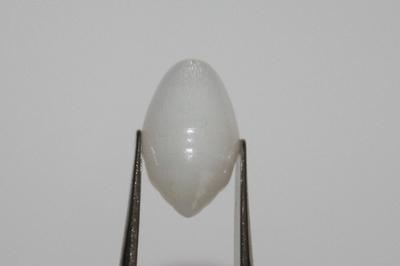 4.75 ct clam pearl