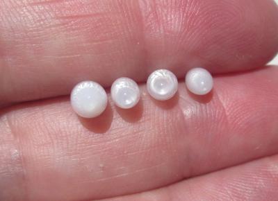 4 Full Flame Clam Pearl Oval Shaped 