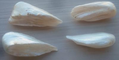 4 Natural USA Pearls - Spike / Wing Shape