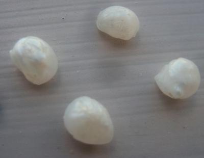 4 Pearls - Natural USA Freshwater