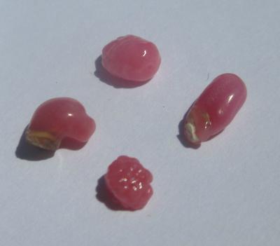 4 Small Pink Conch Pearls 2.89 carats
