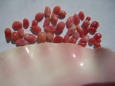 34 carats in group of 40 Conch Pink Pearls