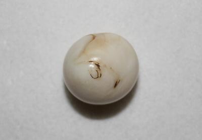 41.6ct Clam Pearl
