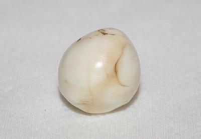41.6ct Clam Pearl