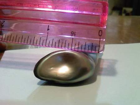 Bottom view 64 carat abalone pearl