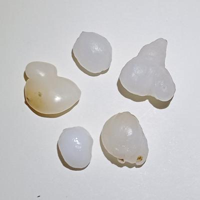 45cts total 5 Baroque Clam Pearls