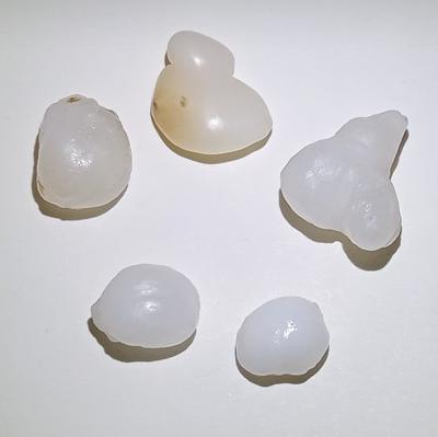 45cts total 5 Baroque Clam Pearls