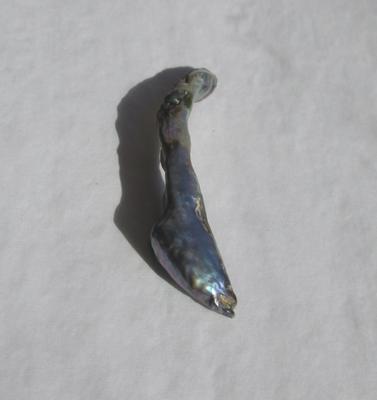 49mm Abalone Pearl 13 carats