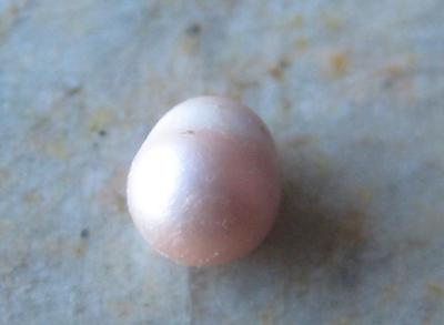 4mm Lavender Natural Freshwater Pearl